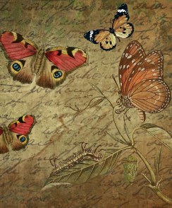 greeting-card-1096981_1920