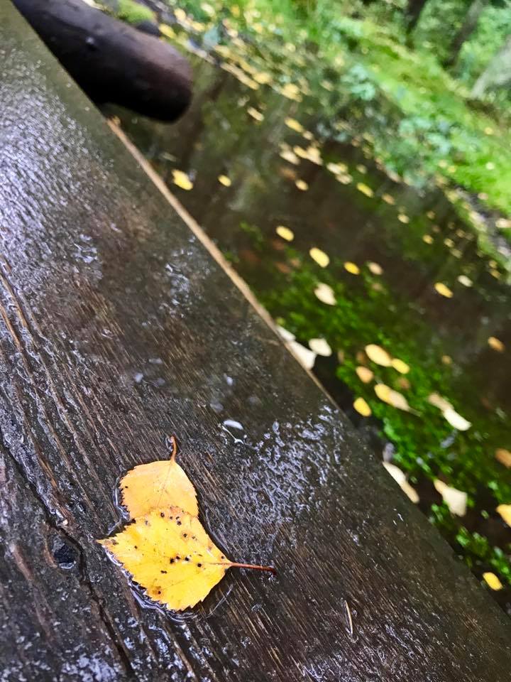 väistämätön hetki